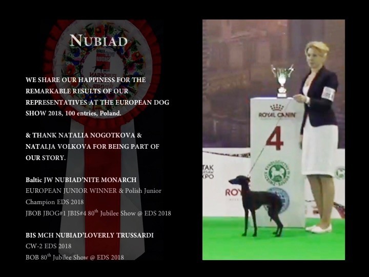 Nubiad - European Dog Show 2018 Poland