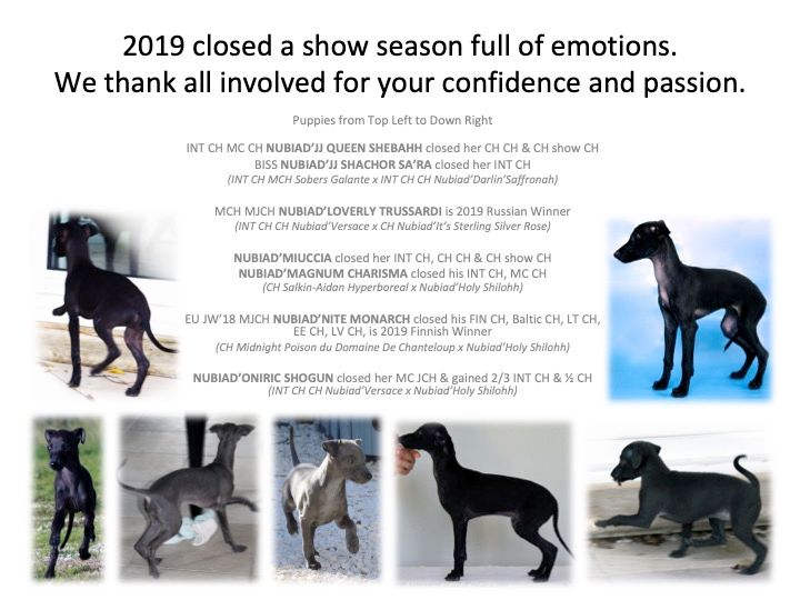 Nubiad - 2019 closed a show season full of emotions.